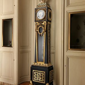 Longcase astronomical regulator